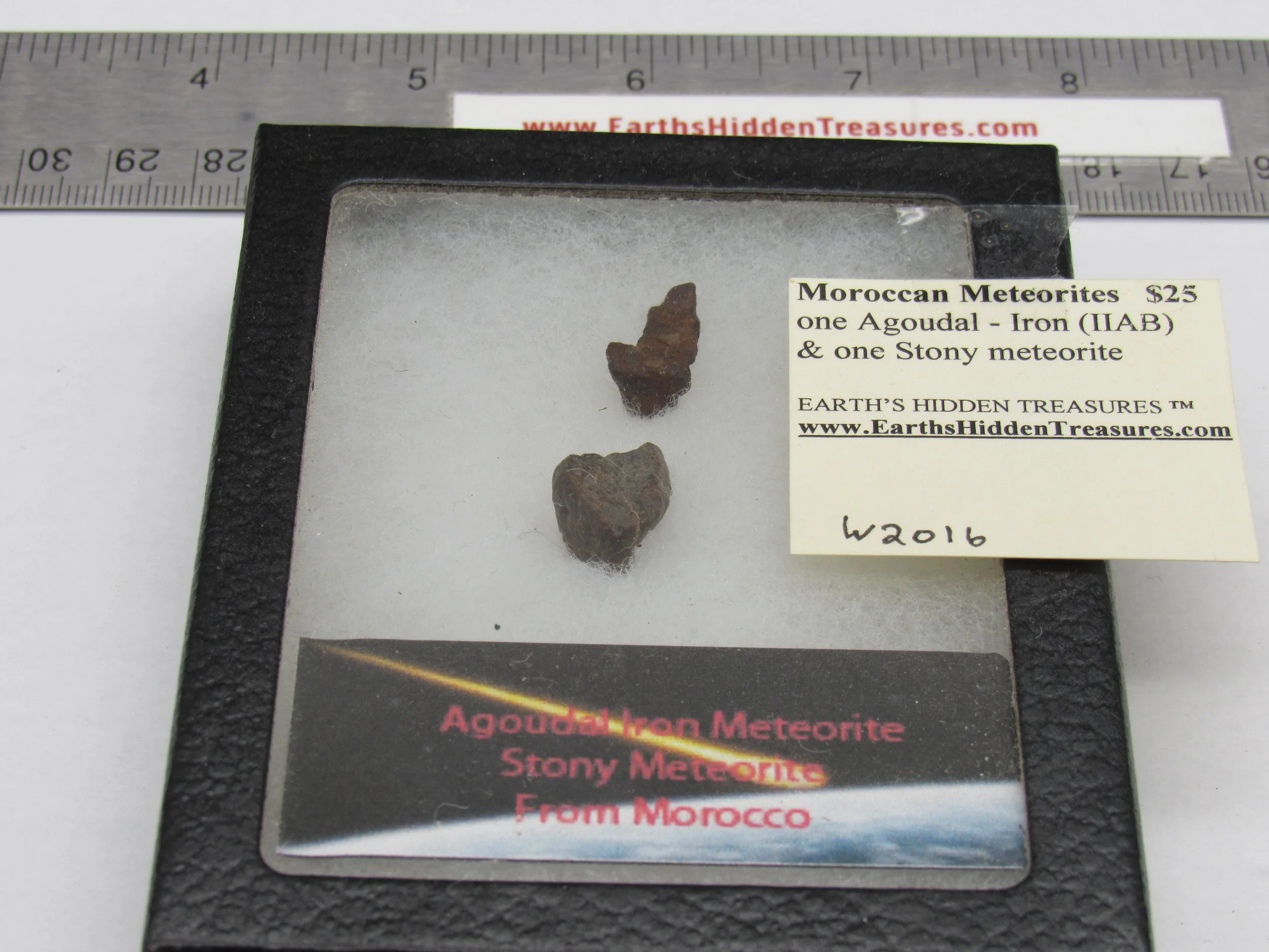 Meteorite Set - Agoudal (Iron) and one Stony