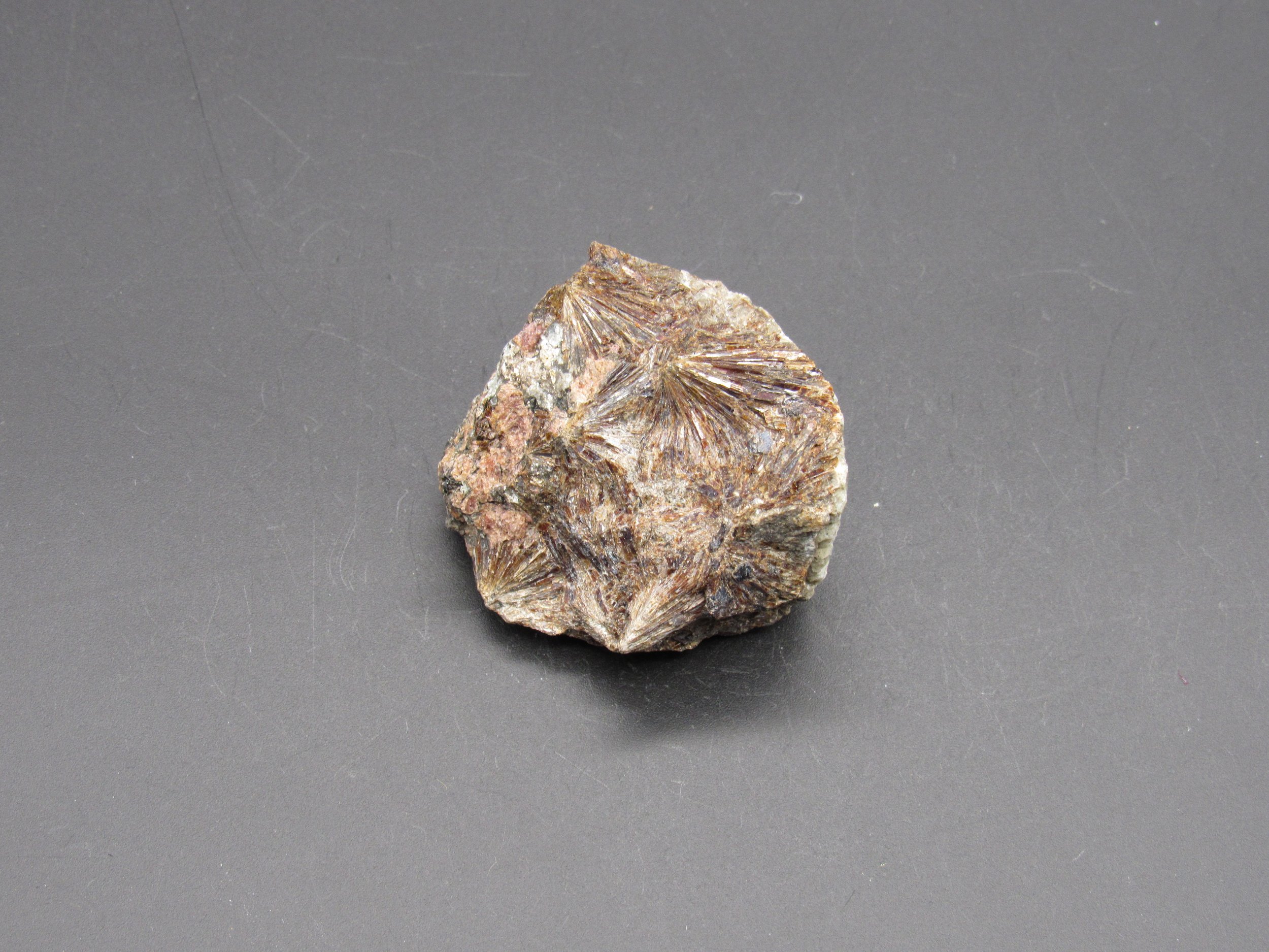 Lamprophyllite & Eudialyte - Russia