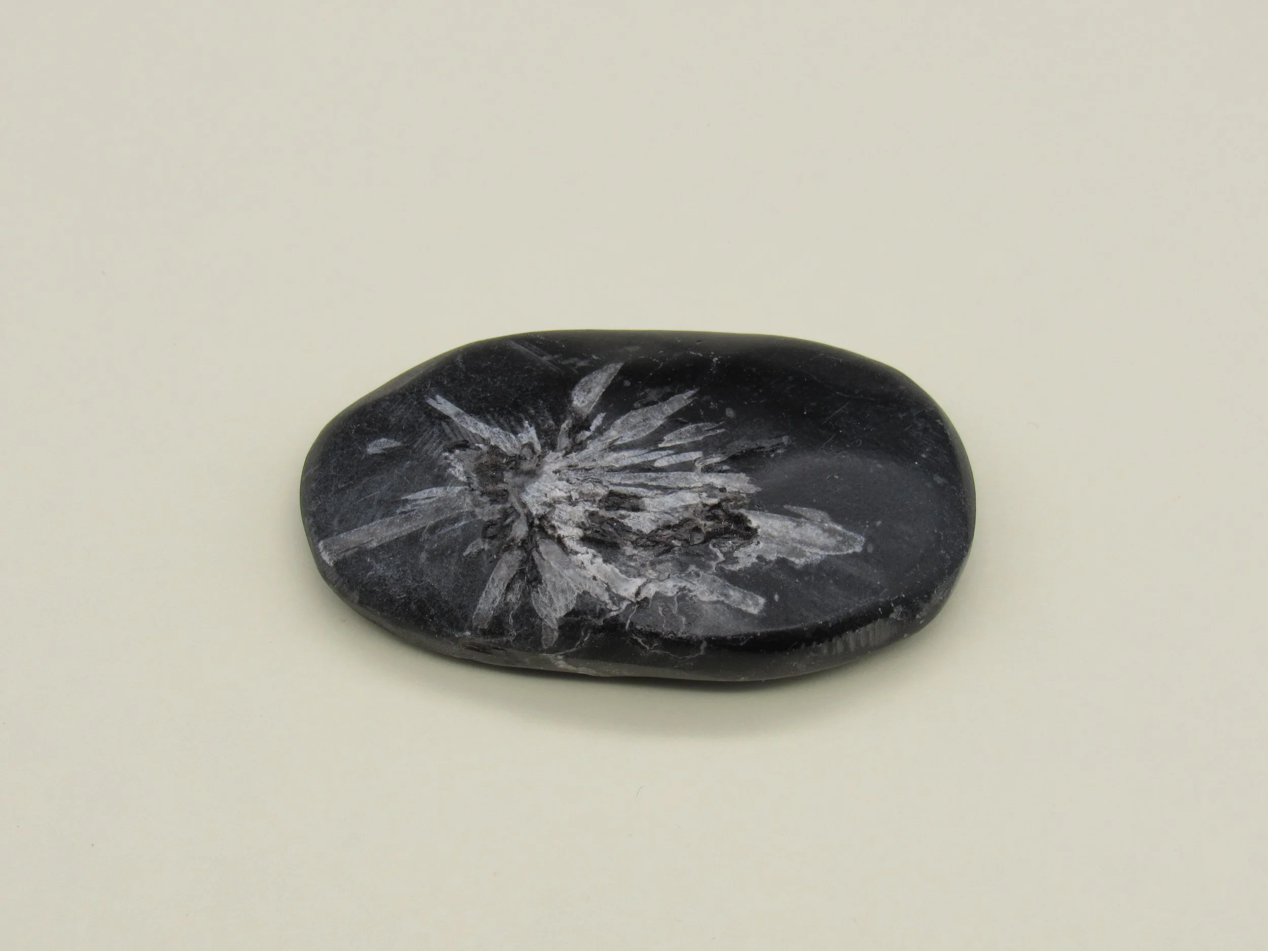 Chrysanthemum Stone - China