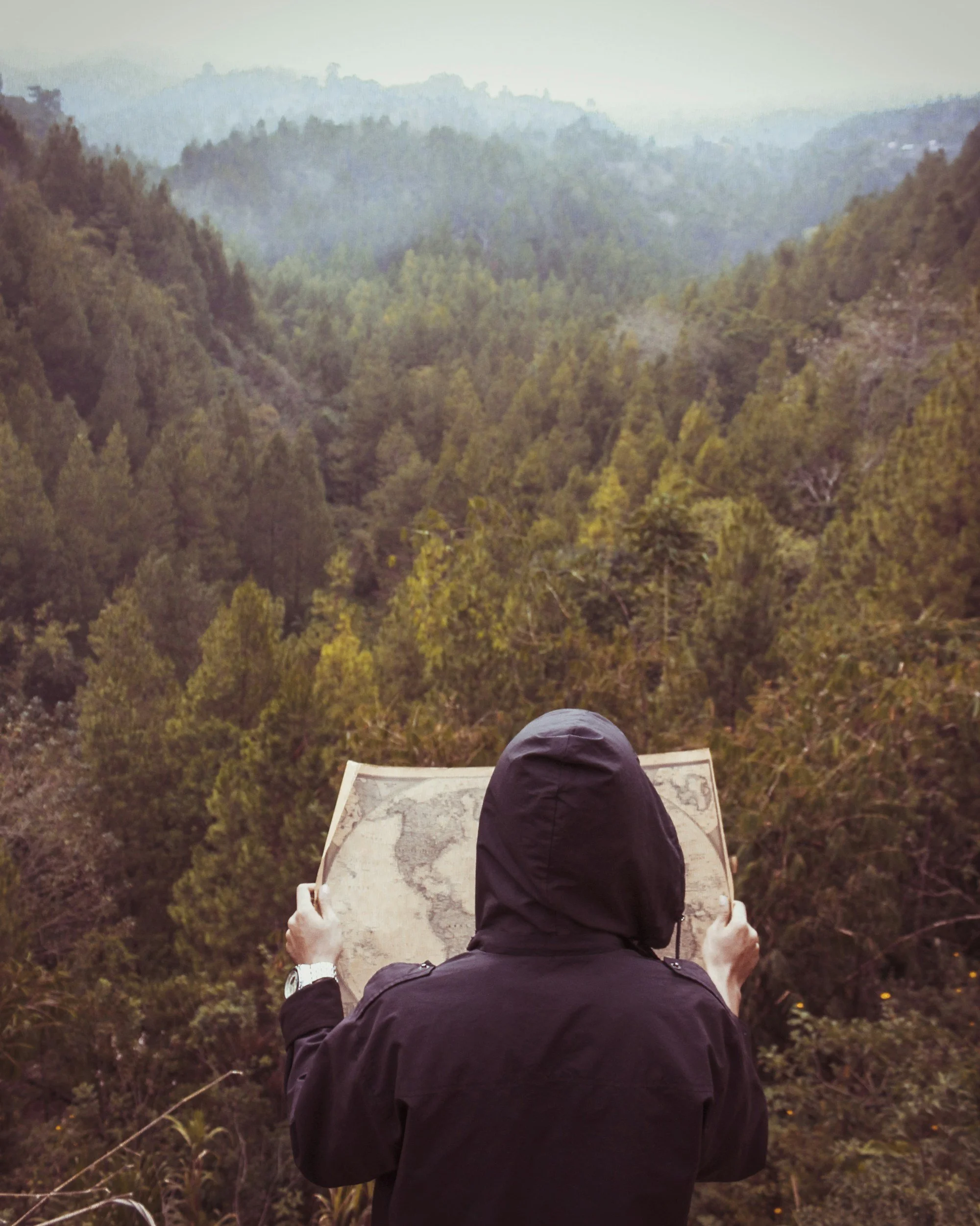 The Living Map