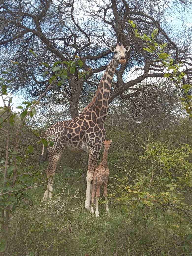 New year - nurturing nature and inspiring people