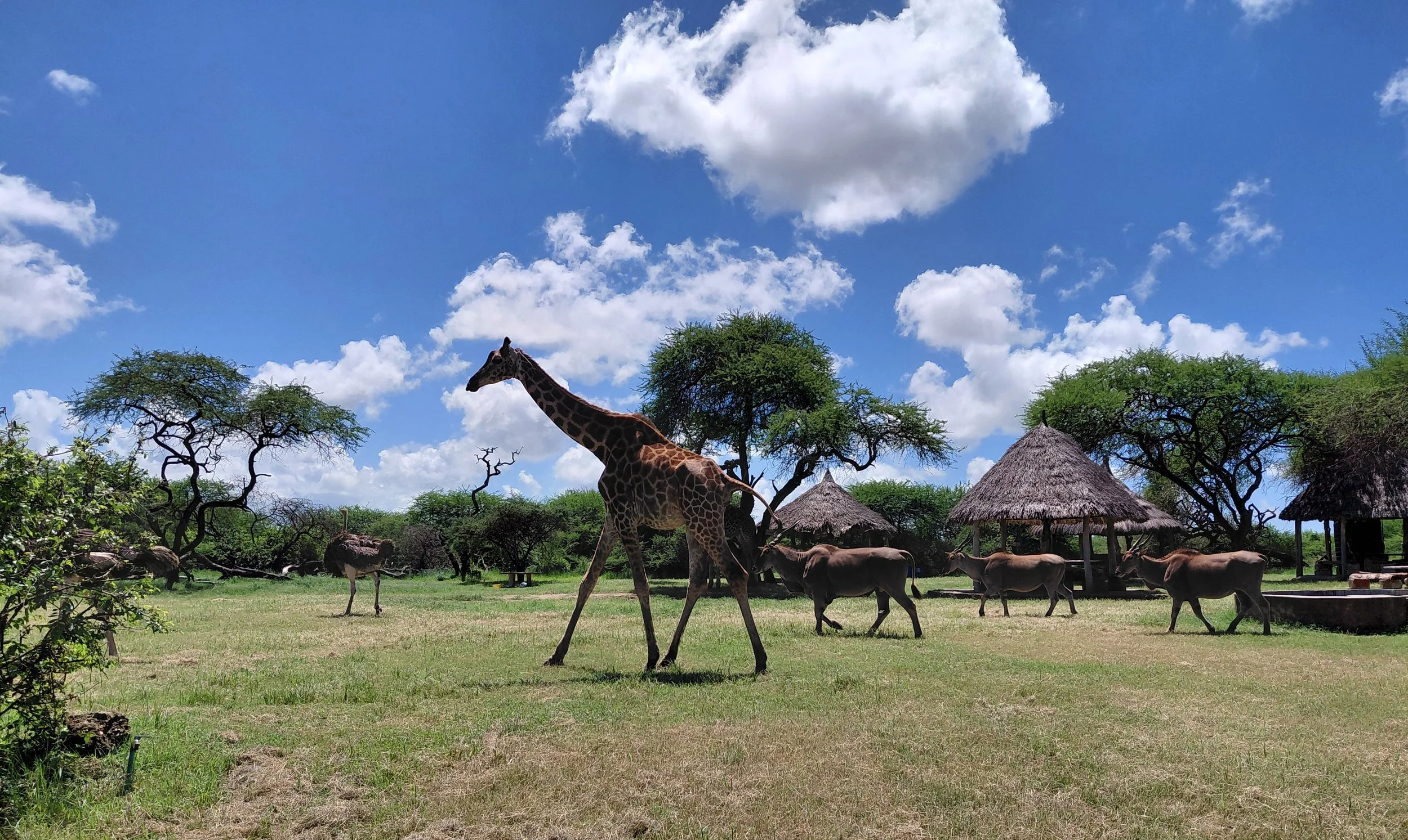 A Sanctuary of Serenity and Wildlife