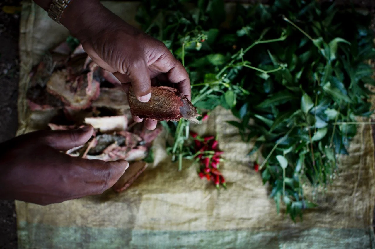 Close-up of hands peeling back bark from a plant or root with lush green foliage and red flowers in the background.
