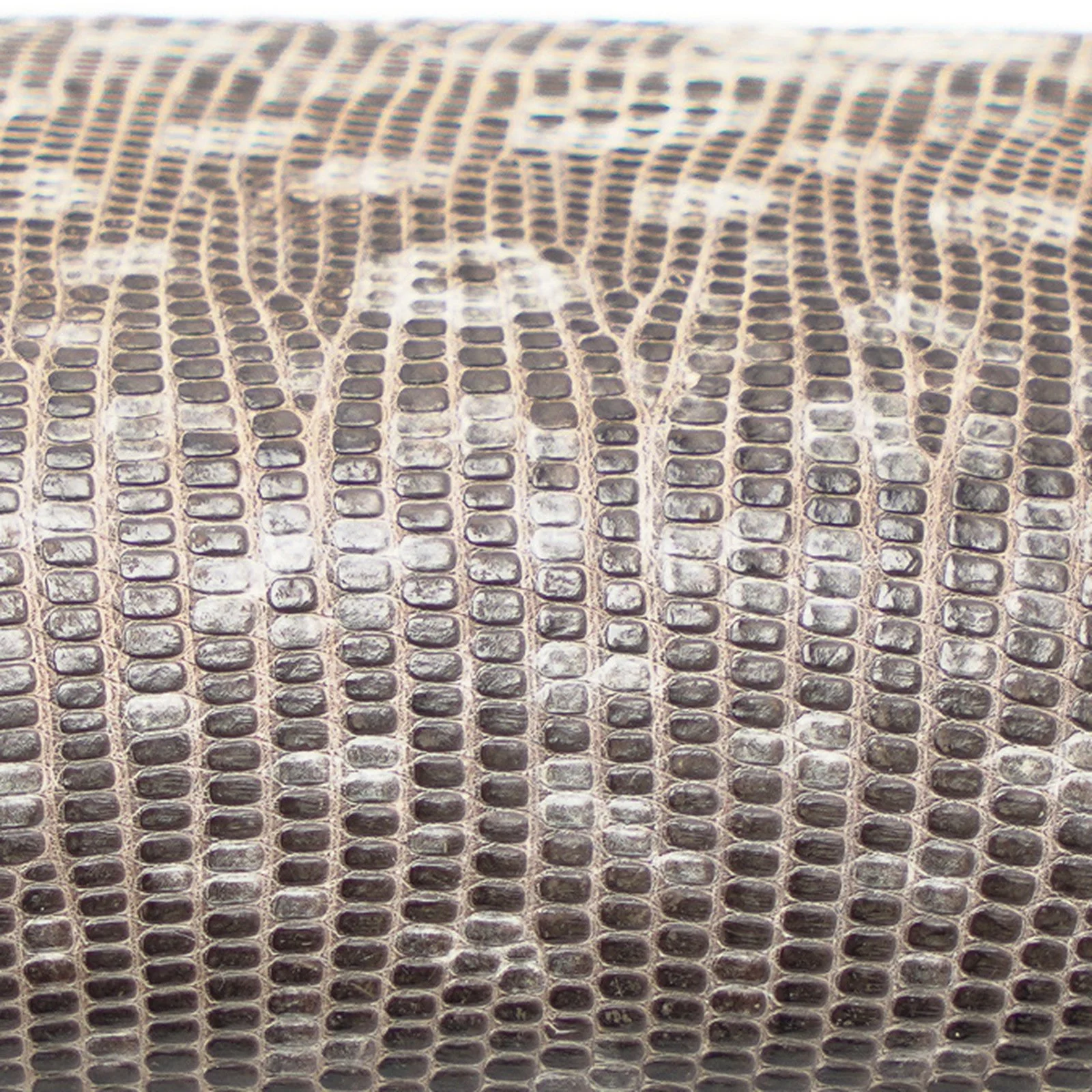 Vintage-A-Stowell-and-Co-Boston-Cufflink-Box-Lizard-Skin-07-detail-lizard-skin.jpg
