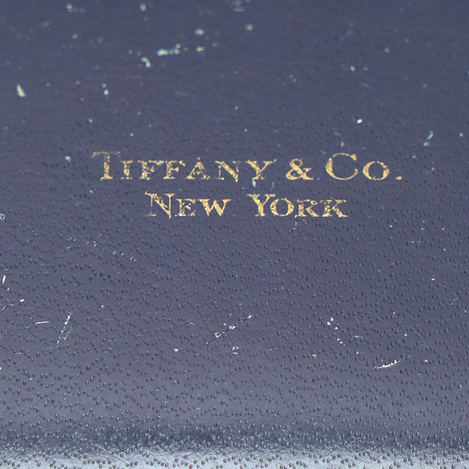 Antique-Tiffany-and-Co-New-York-Earring-Box-05-detail-tiffany-new-york-lid.jpg