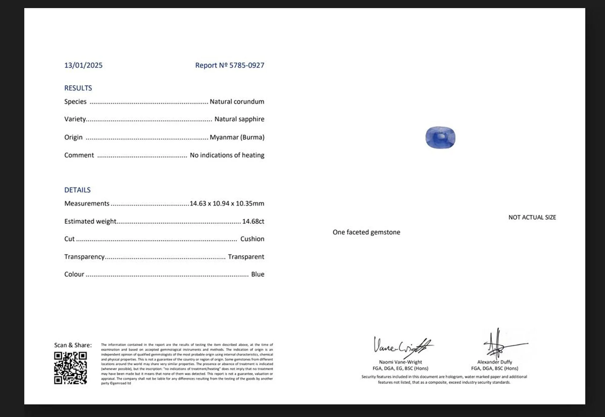 WhatsApp Image 2026-04-10 at 11.09.06.jpg