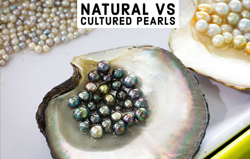 Natural VS Cultured Pearls — Mozeris Fine Antiques