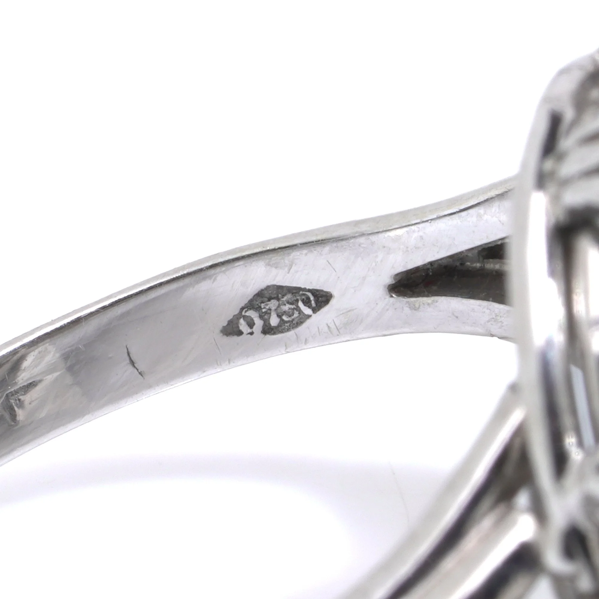 2026-01-23 12-24-26 (B,R8,S4).jpg