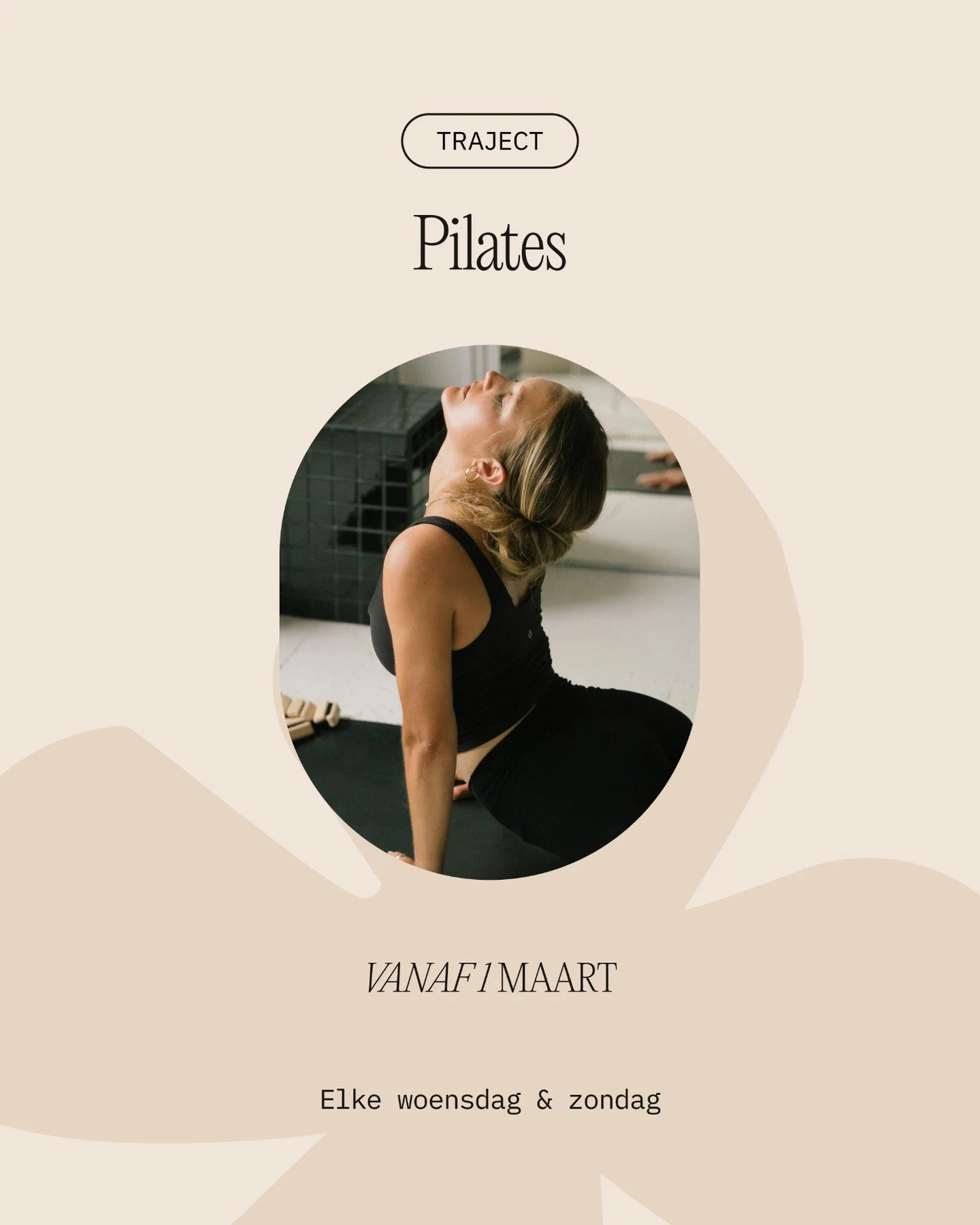 Pilates is meer dan trainen.
Het is vertragen. Voelen. Opnieuw verbinden met je lichaam.

Bij MATApilates werken we in kleine groepen, met persoonlijke begeleiding en aandacht voor ademhaling, kracht en zachtheid.

Voor wie nood heeft aan:
✨ sterker 