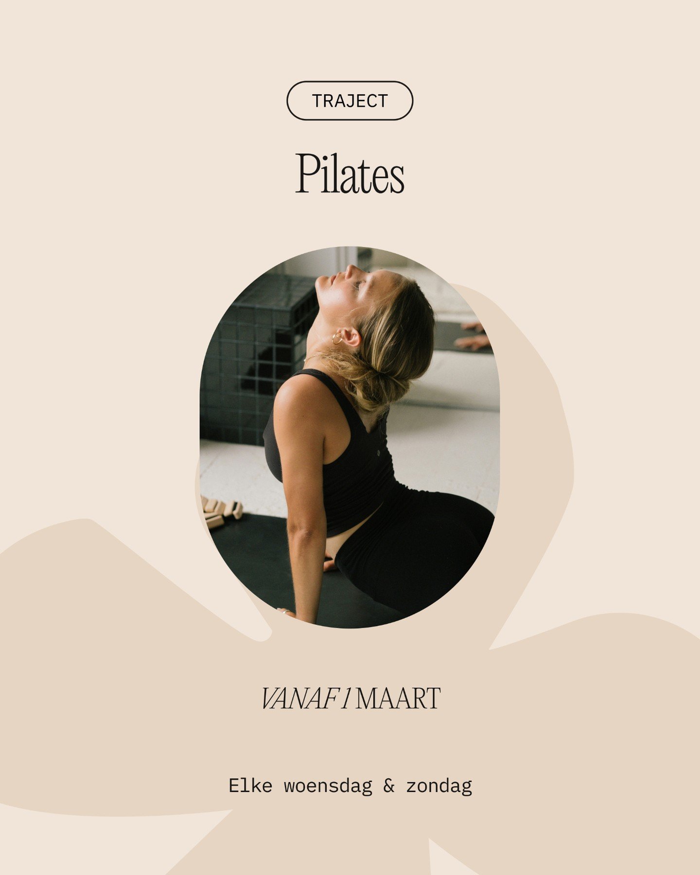 Pilates is meer dan trainen.
Het is vertragen. Voelen. Opnieuw verbinden met je lichaam.

Bij MATApilates werken we in kleine groepen, met persoonlijke begeleiding en aandacht voor ademhaling, kracht en zachtheid.

Voor wie nood heeft aan:
✨ sterker 