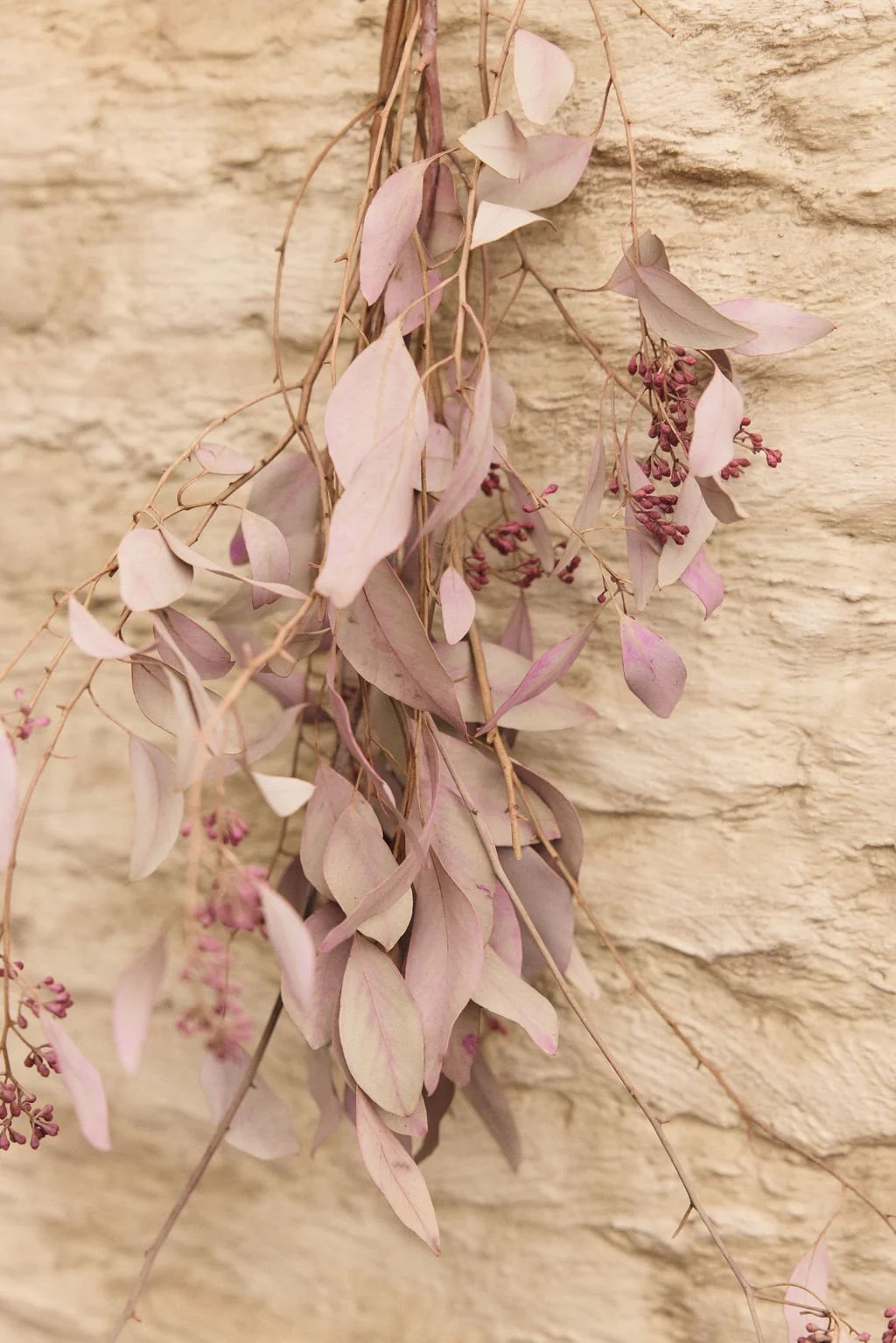 Fertile ground