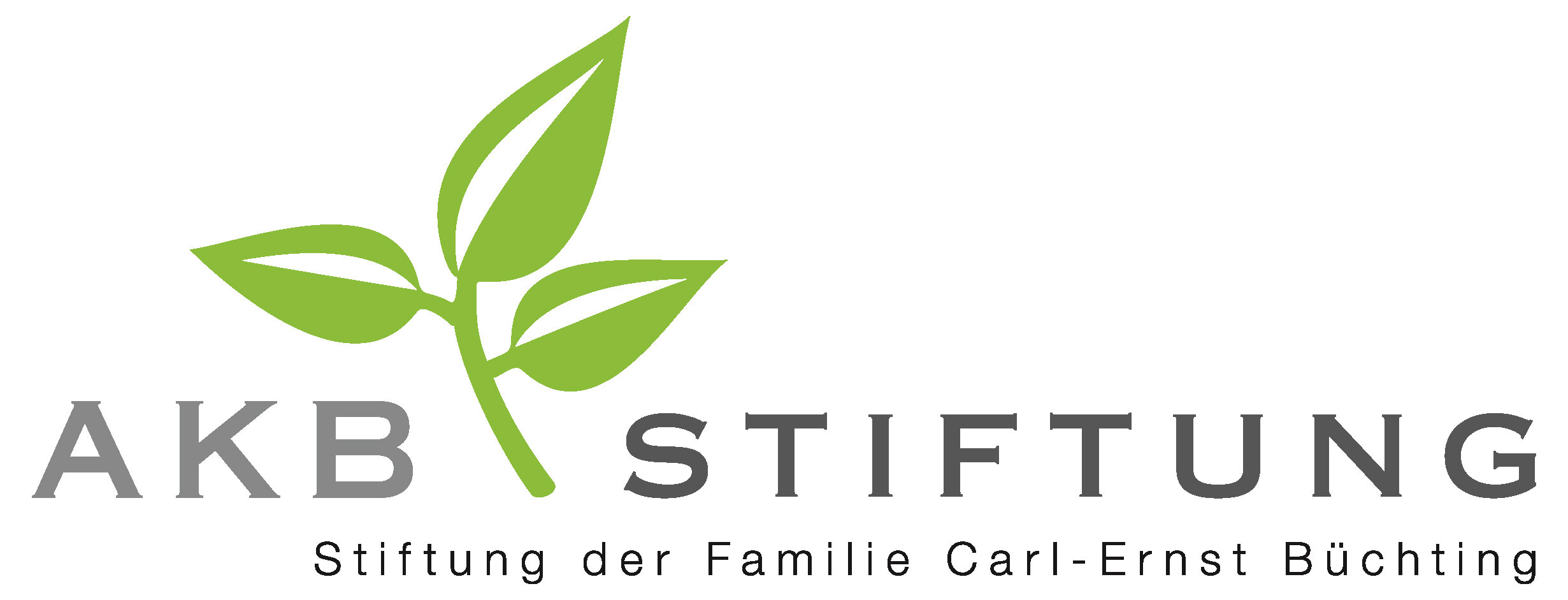 AKB-Stiftung-Logo.jpg