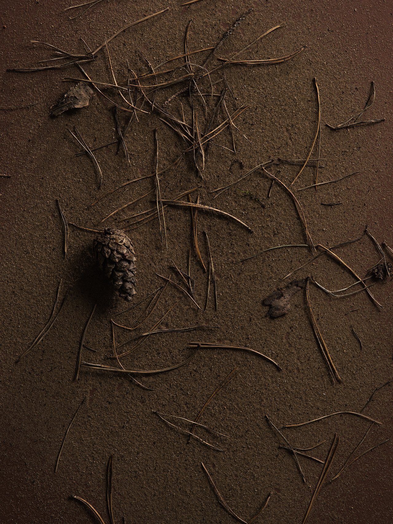 D_SOL_KF_Terram_Background_hoch_1280.jpg