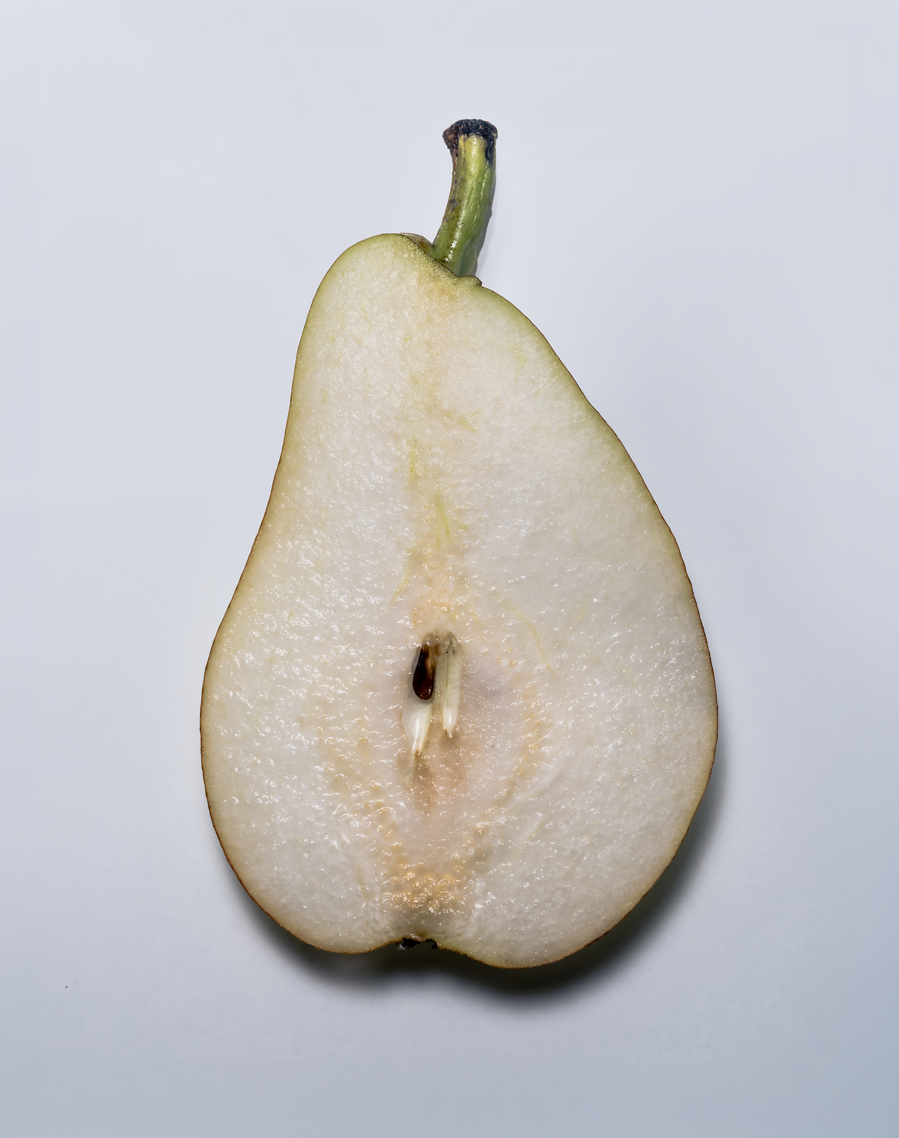 D_SOL_Pear_13_1.png