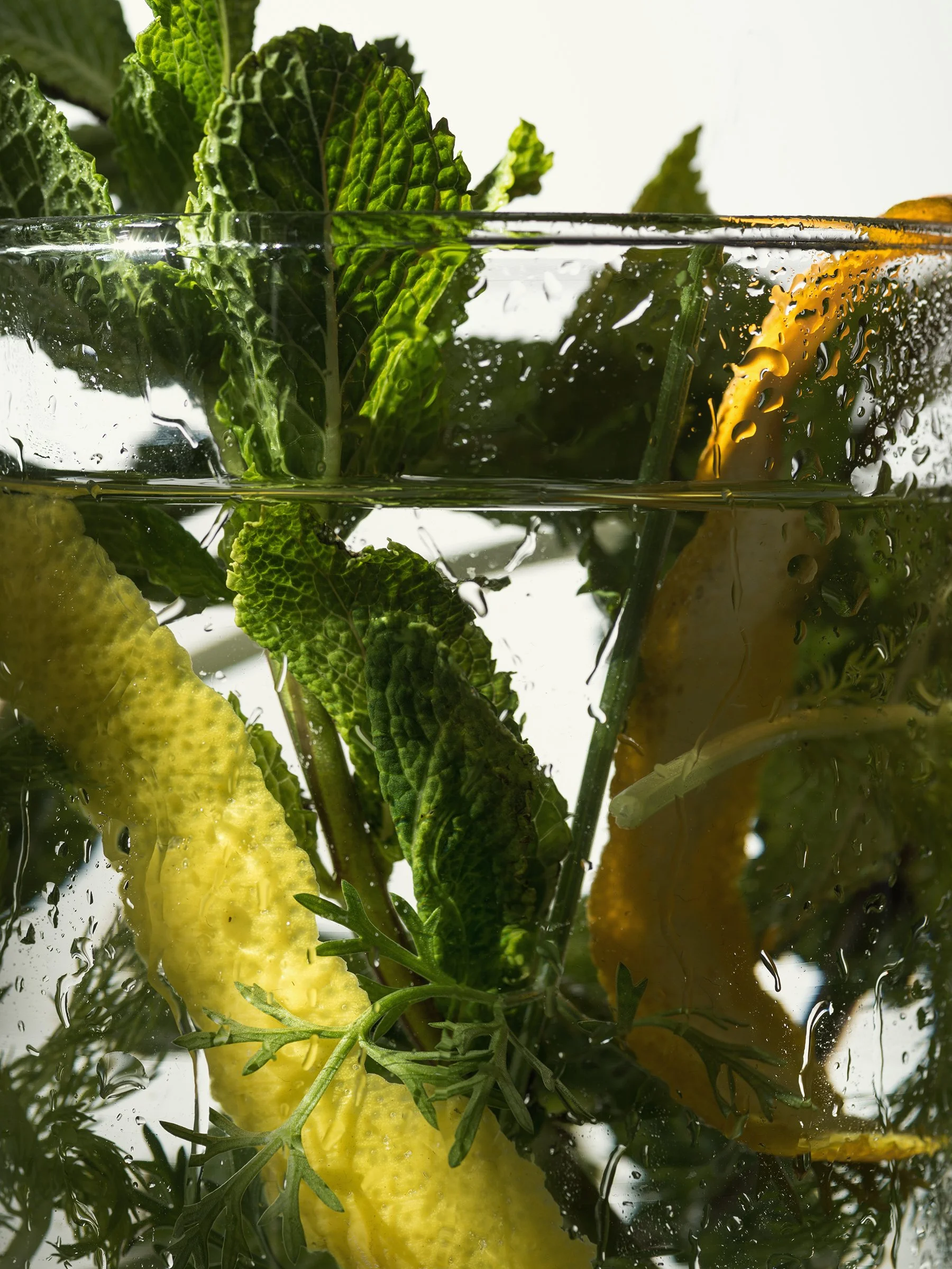 D_SOL_KF_Herbes_image.jpg