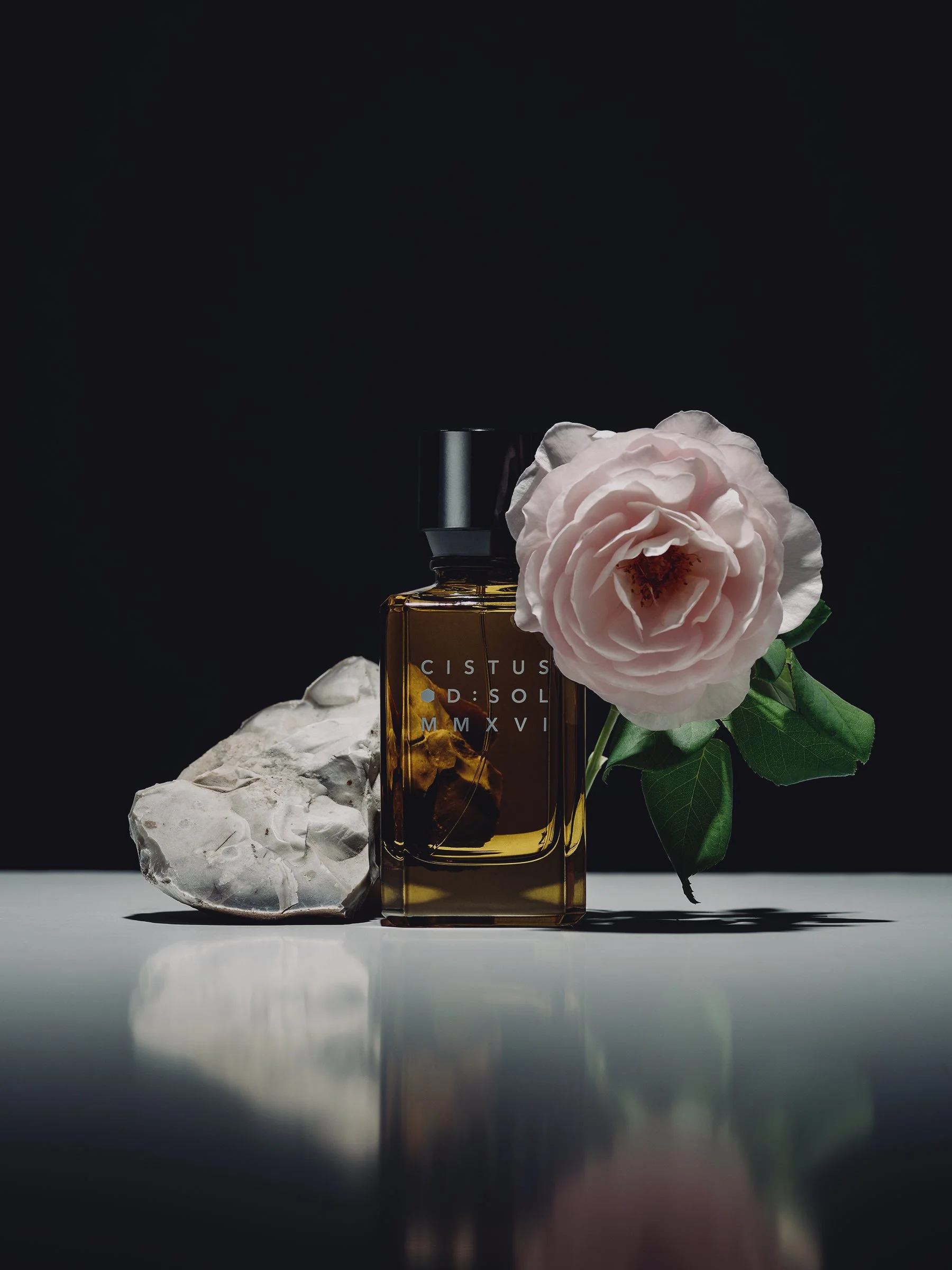 A perfume bottle Cistus by D:SOL, a white flower, and a white rock on a reflective surface with a dark background.