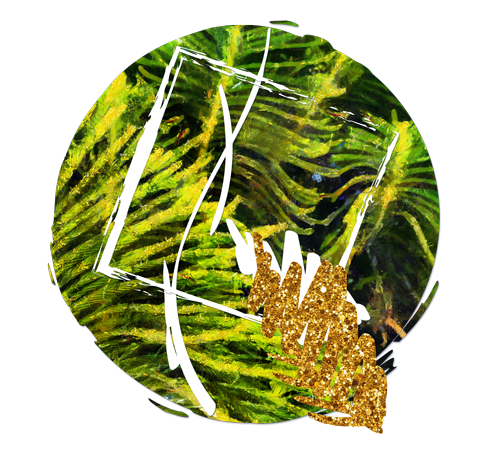 A round mirror reflecting green foliage, with a gold glittery flower and white geometric lines overlayed.