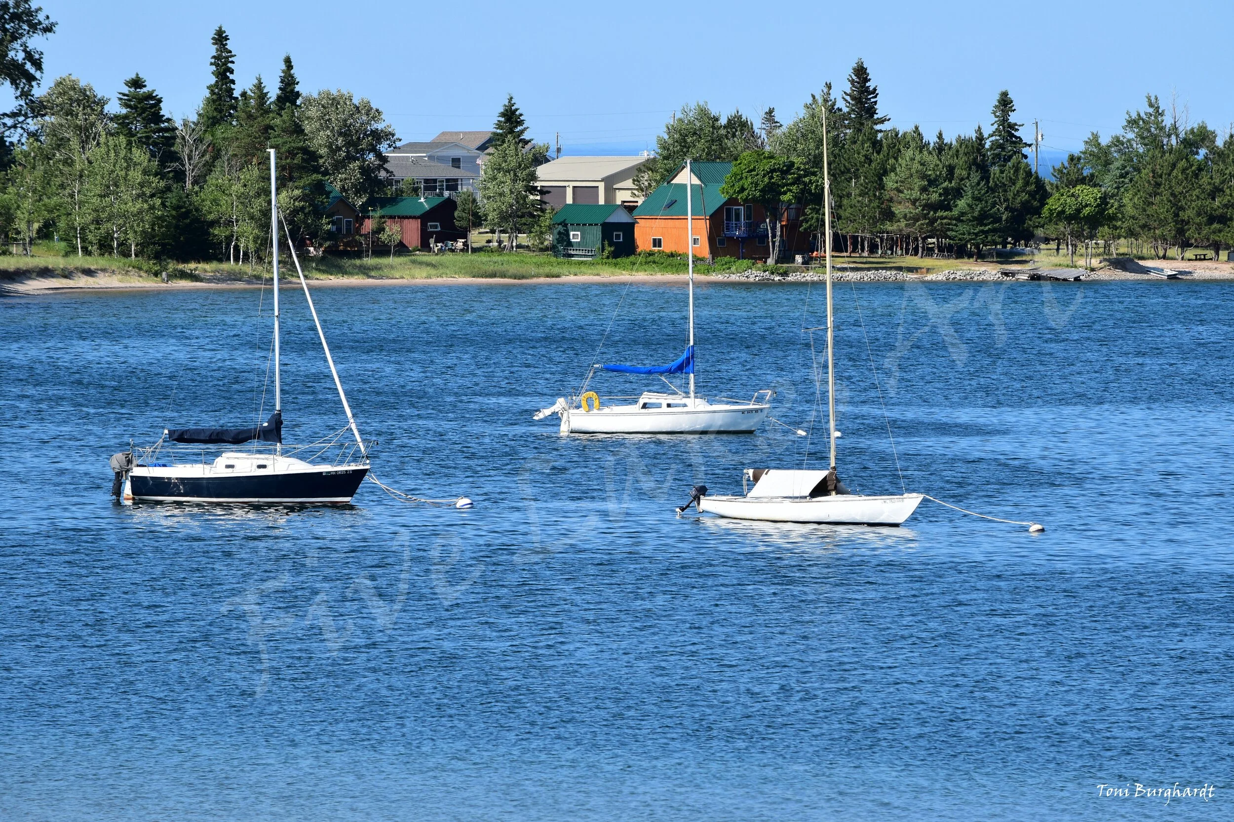 Michigan UP Sailboats in Bay (Metal)