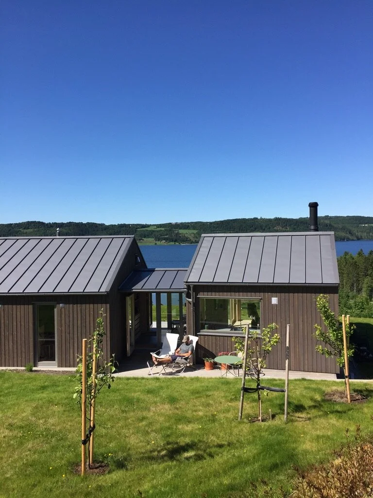 Hytte Borgenfjorden.jpeg