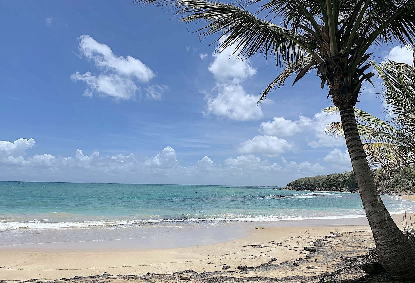 postcard beach photo.jpg