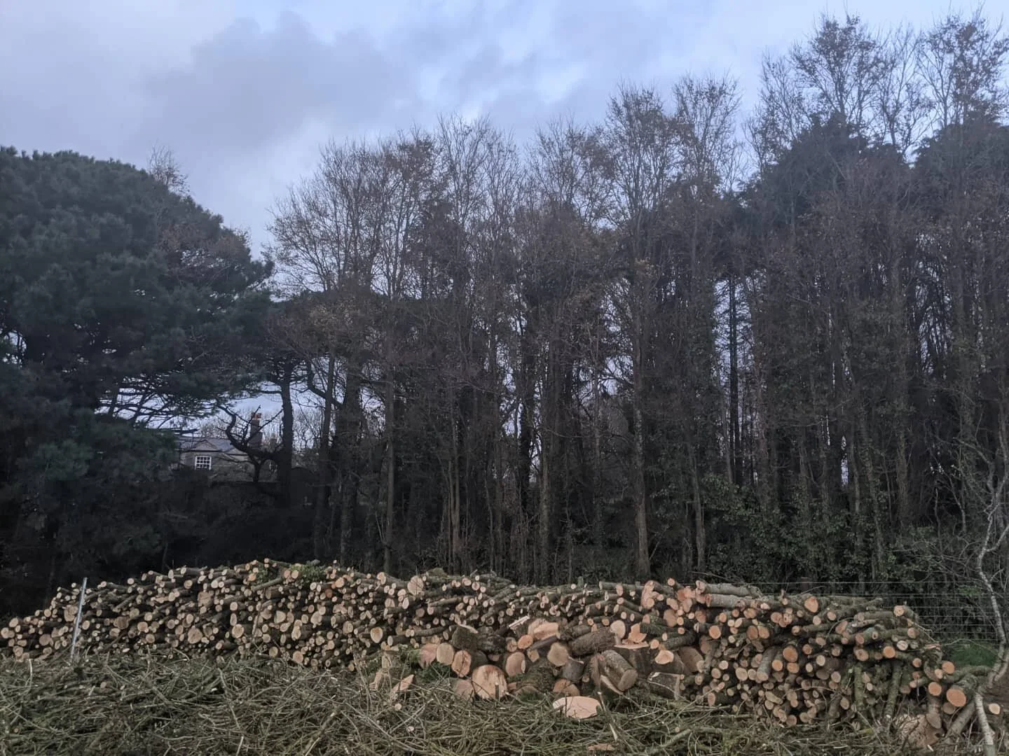 We safely completed a selective fell of a diseased Ash woodland, roughly 280 trees were taken down due to Ash Dieback. Replanting of native broadleaf species will commence in the new year 🌳