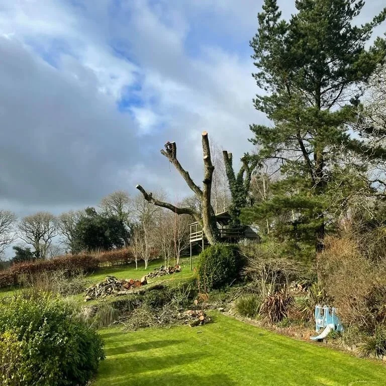 Another job well done with @martin_hann 🌳
