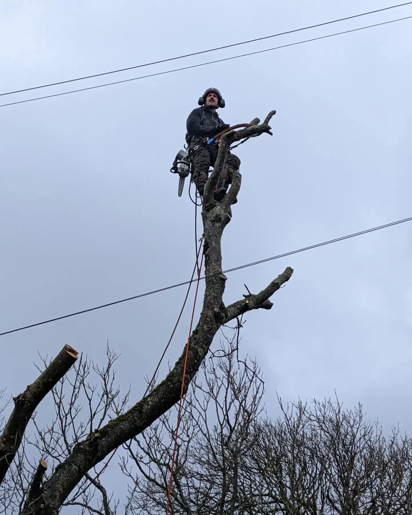 Bit of a tricky climb in the wind today 🌿
