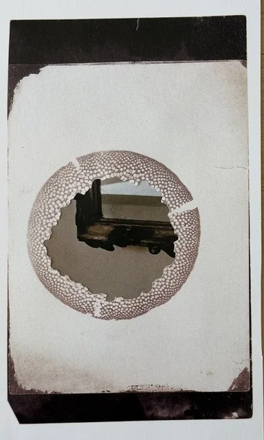 Nicola-Bouwer_Portal-4_2026_Collage_11x18cm.jpeg