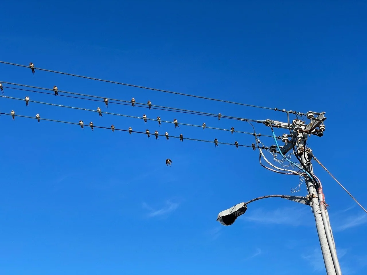 Gentle Continuation: A January Note from the Studio