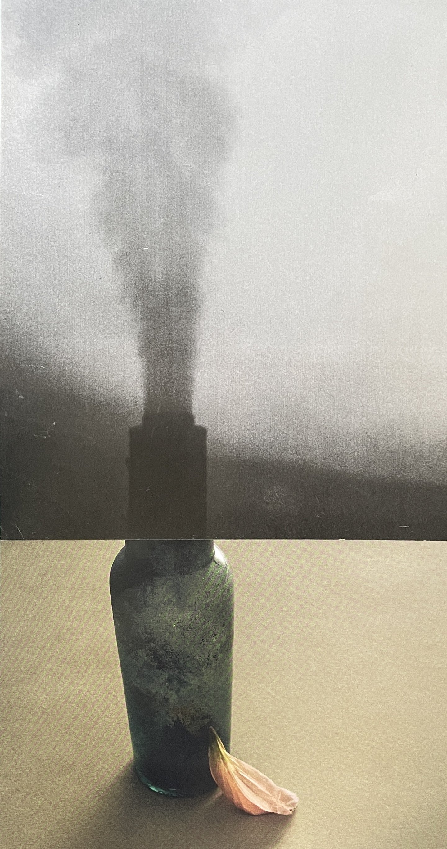 'Fragility in the Fallout' III
Contemporary collage fine art print, edition of 5
