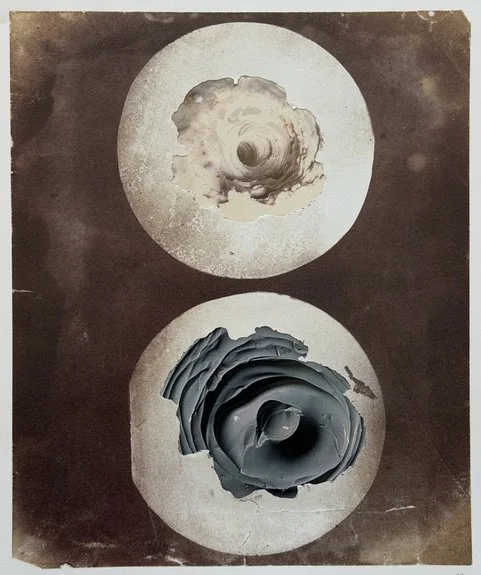 Nicola-Bouwer_Portal-3_2026_Collage_23x19cm.jpeg