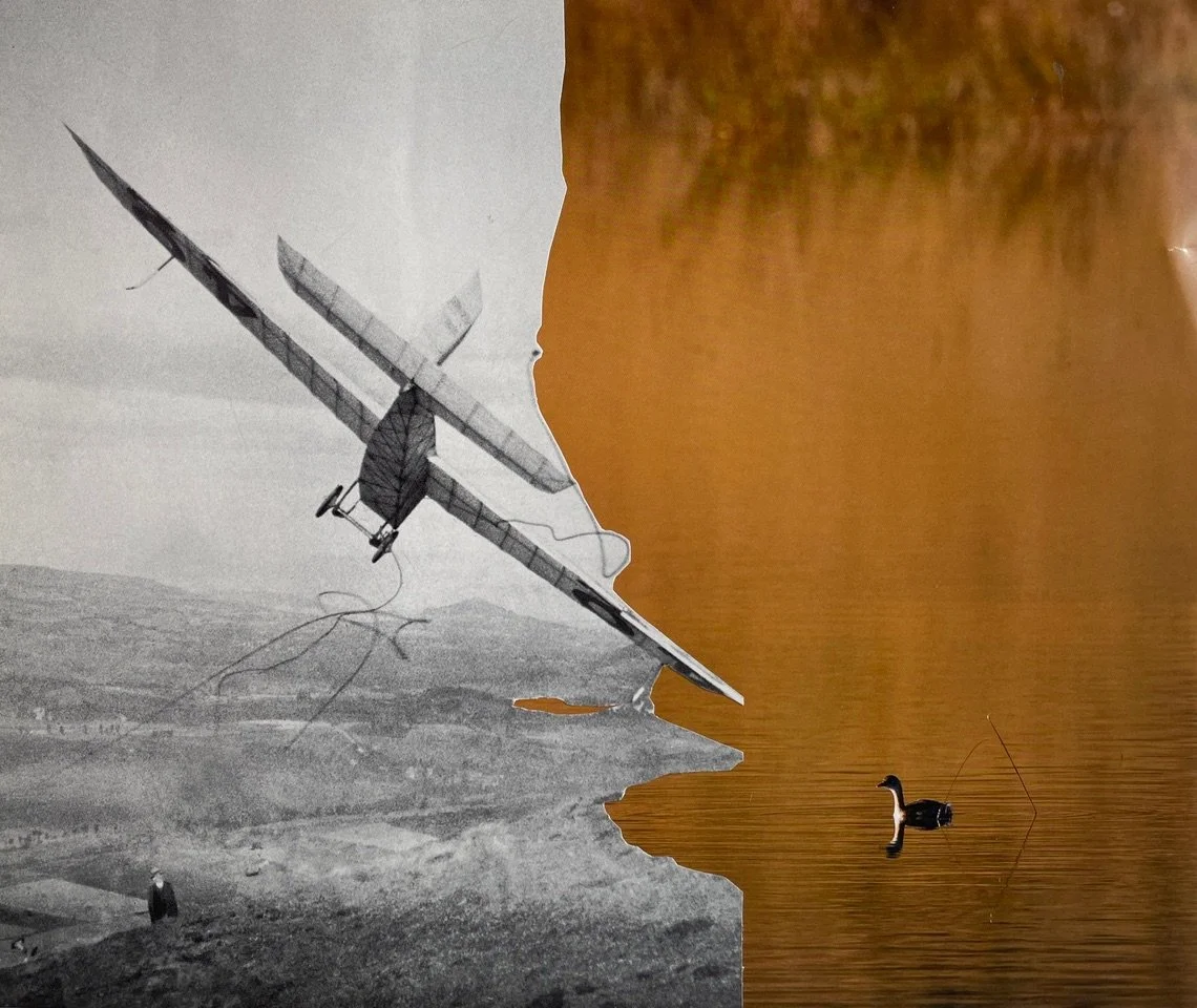 'Spectators'
Contemporary collage fine art print, edition of 5