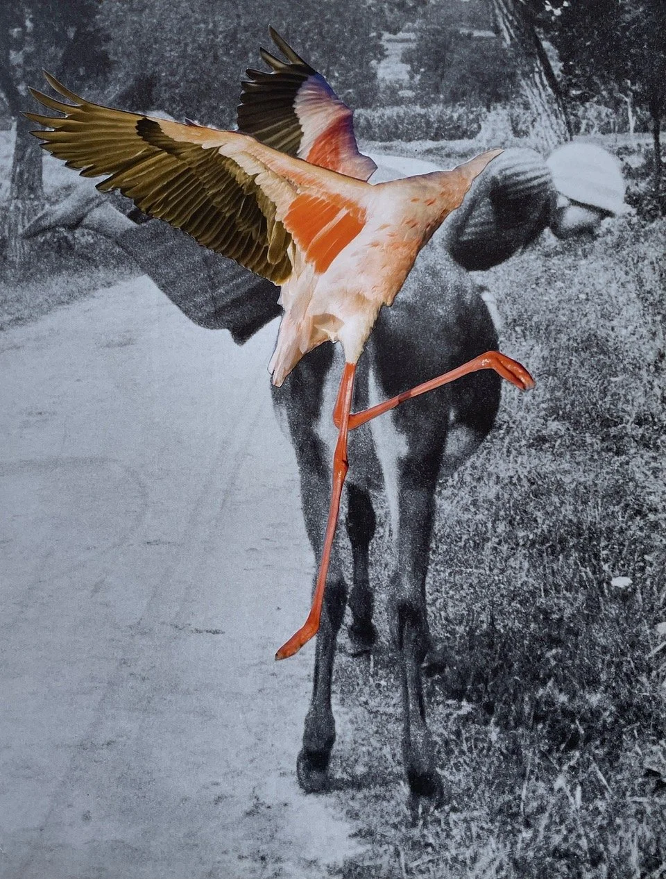 'As If She Could Just Take Off'
Contemporary collage fine art print, edition of 5