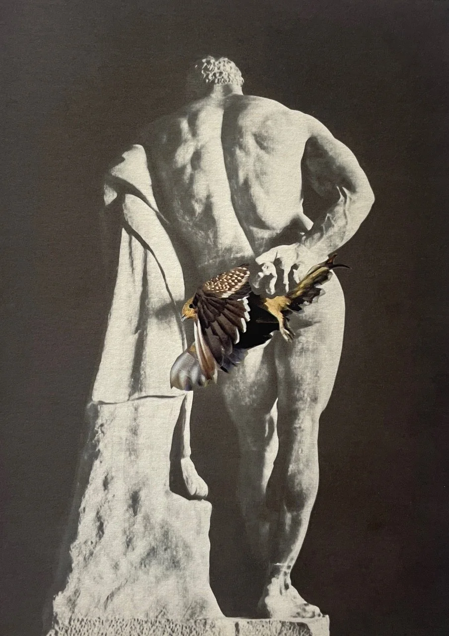 'Bird In The Hand'
Contemporary collage fine art print, edition of 5
