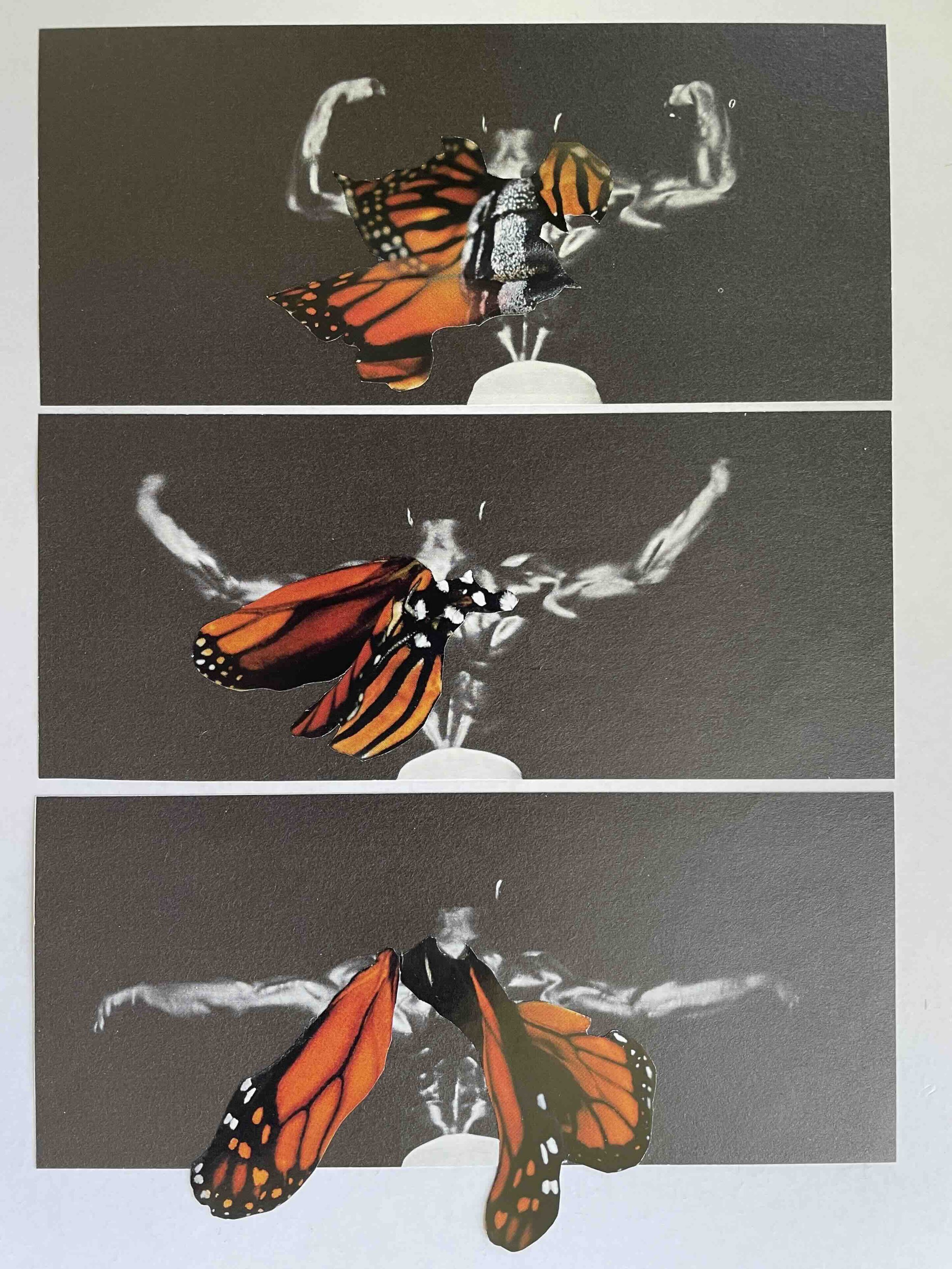 'Flex & Flutter'
Contemporary collage fine art print, edition of 5