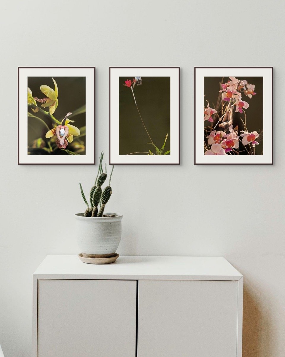 Unframed contemporary analogue collage artwork No. 9 by Nicola Bouwer, A3 size.