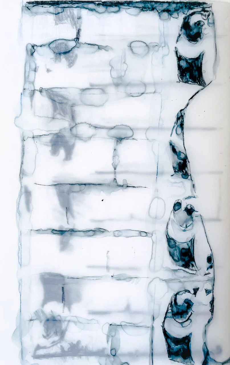 parallel-thoughts-watercolour-pencil-nicola-bouwer-14x23cm.jpeg