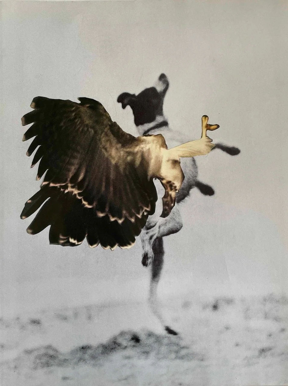 'Lead Of Faith'
Contemporary collage fine art print, edition of 5