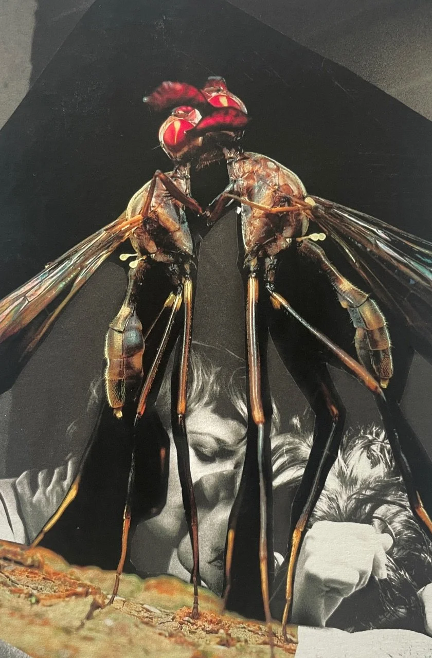 'The Last Kiss'
Contemporary collage fine art print, edition of 5