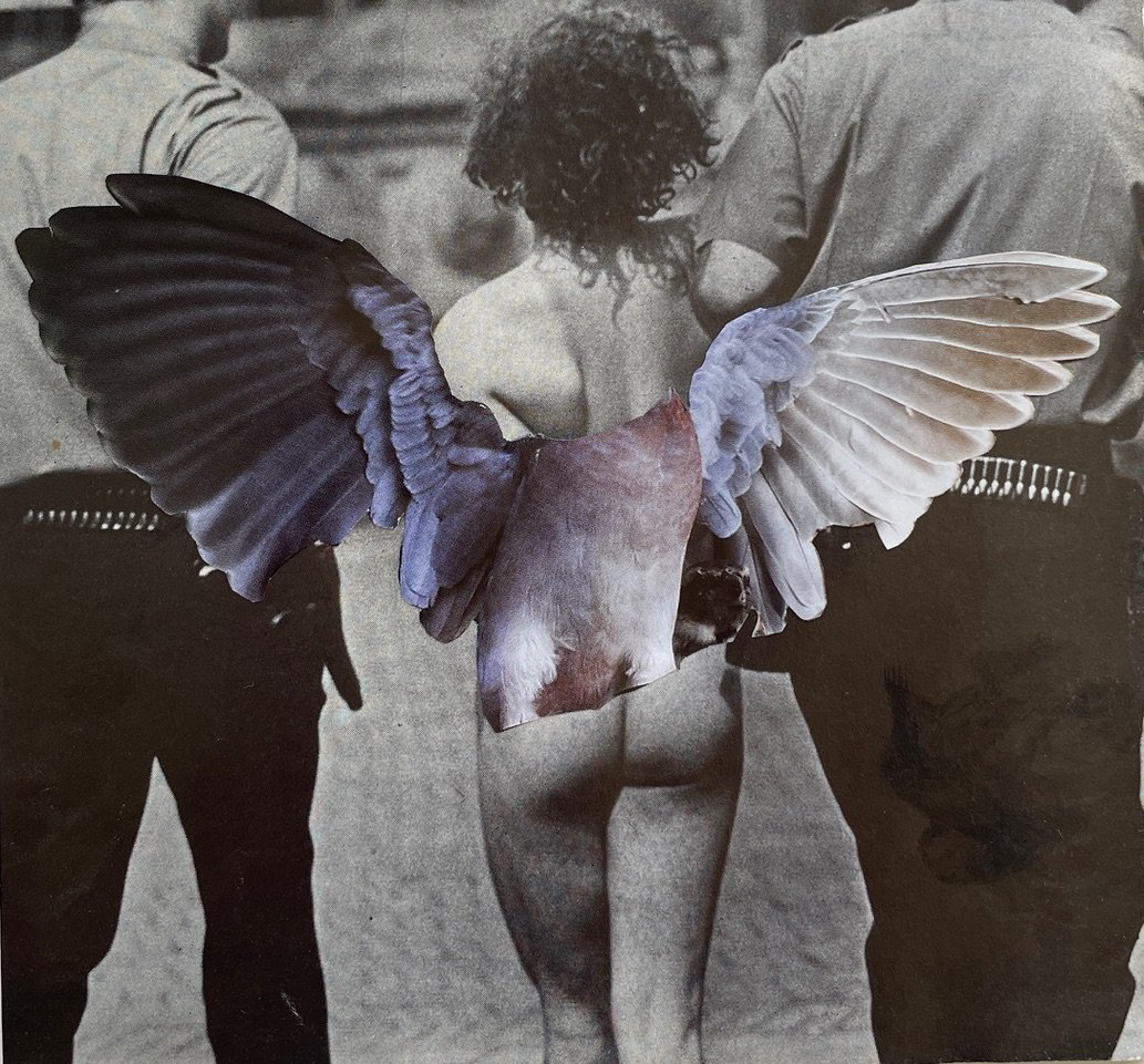 contemporary-analogue-collage-flight-risk-13.5x13-unframed-nicola-bouwer-art.jpeg