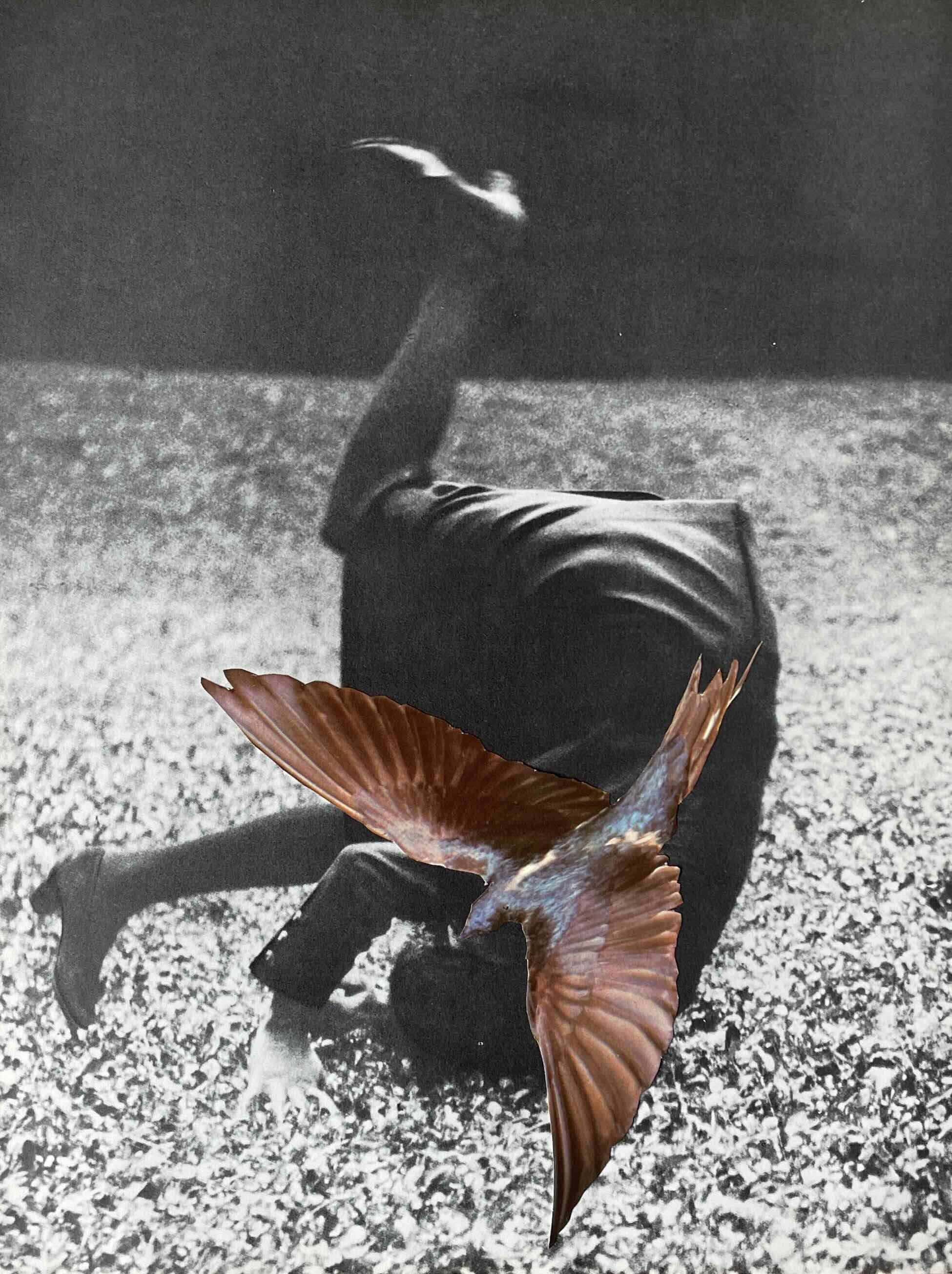 contemporary-analogue-collage-strike-from-above-A4-34-unframed-nicola-bouwer-art.jpeg