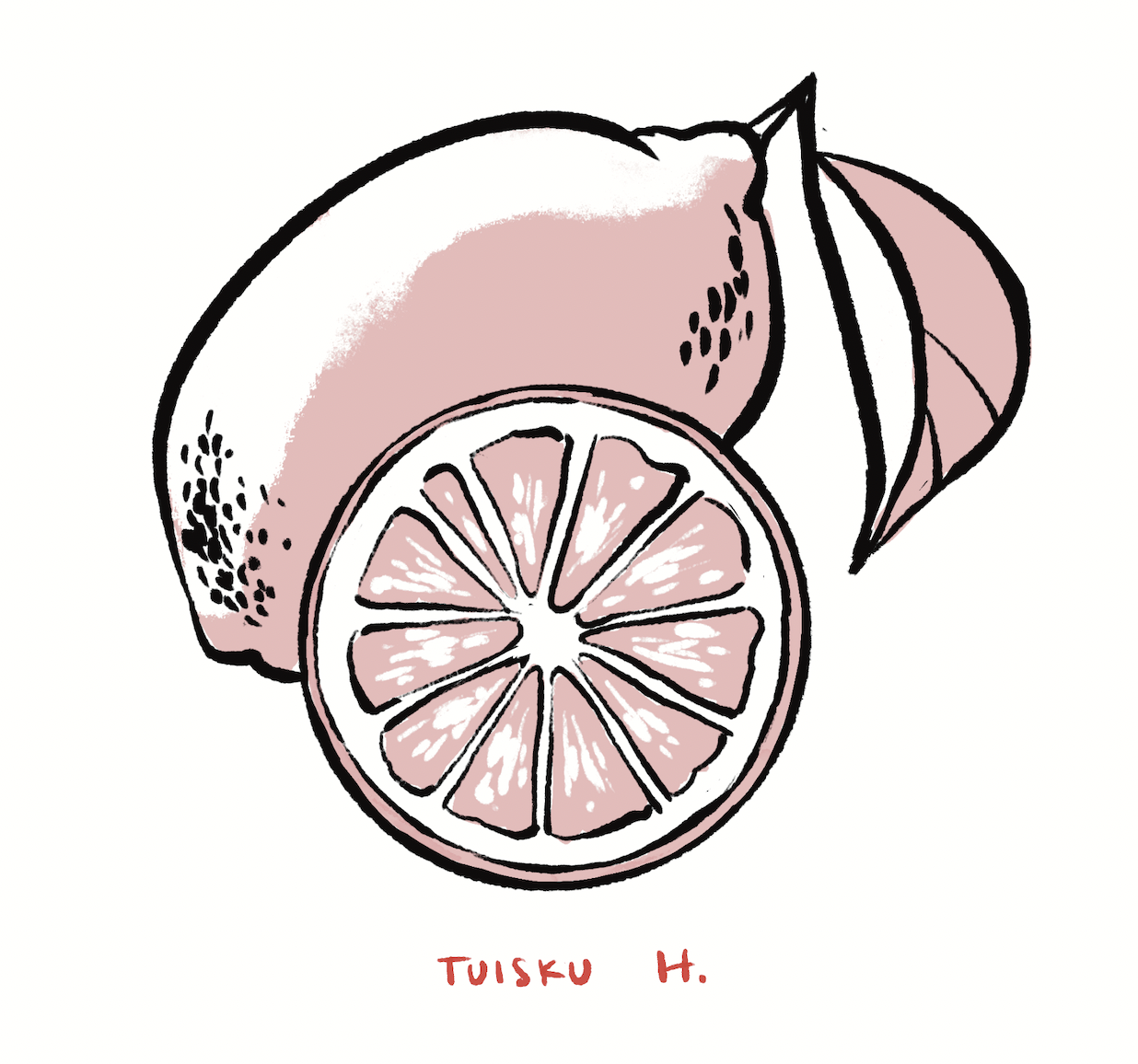 All I had left were lemons
