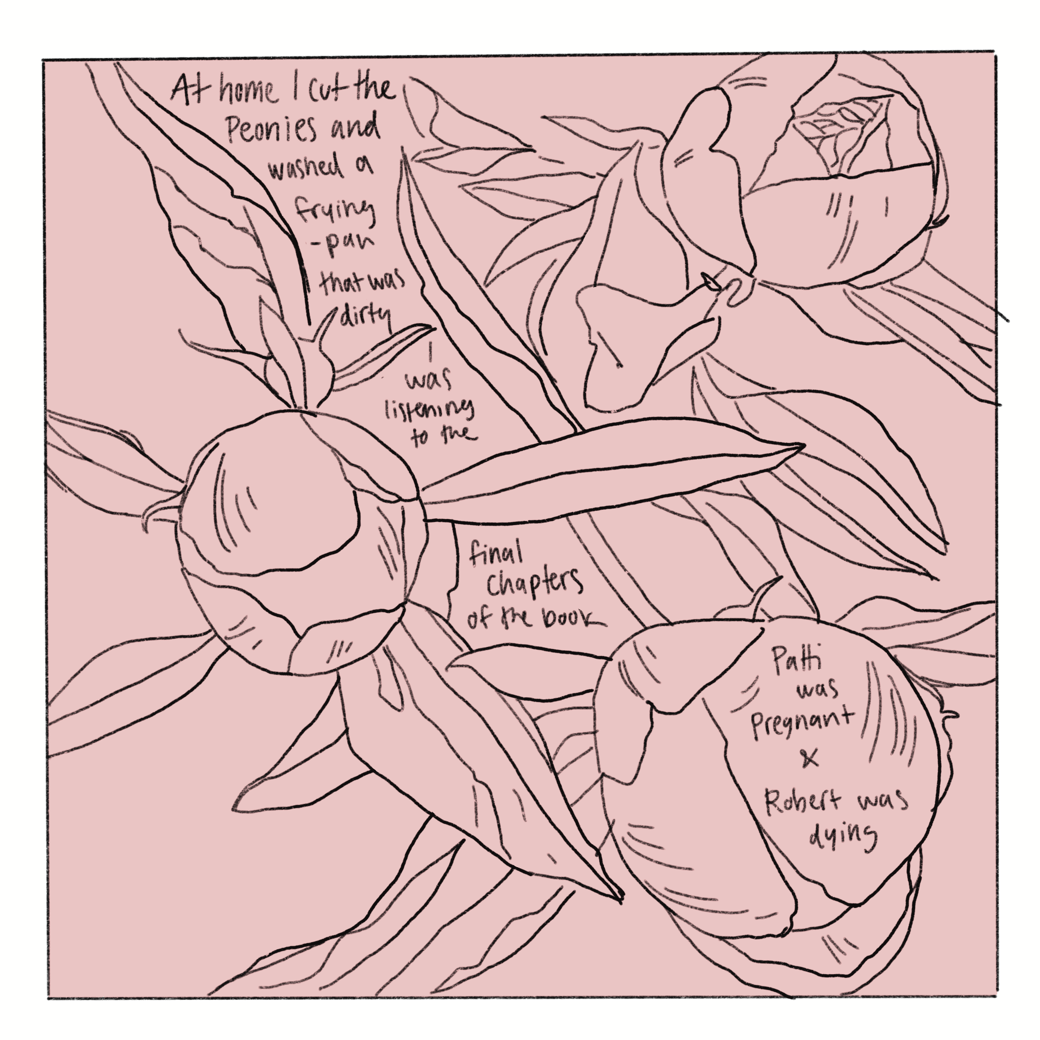 30.5.2025-4.png