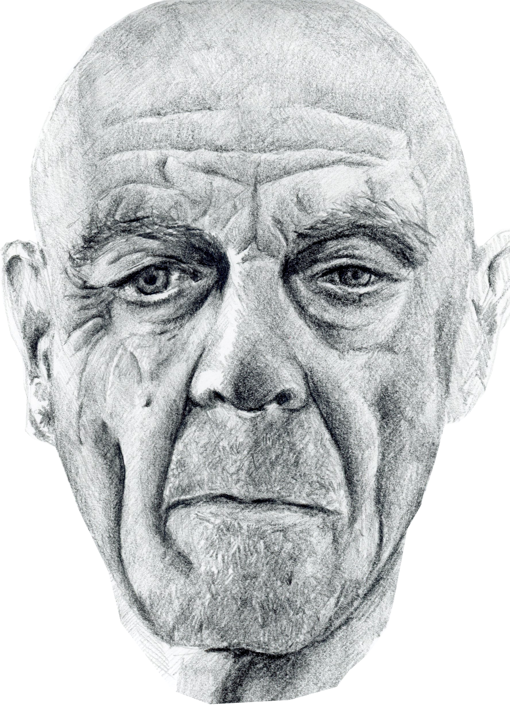 Pencil drawing of an elderly man's face with a bald head, expressive eyes, and detailed wrinkles, showcasing realism.
