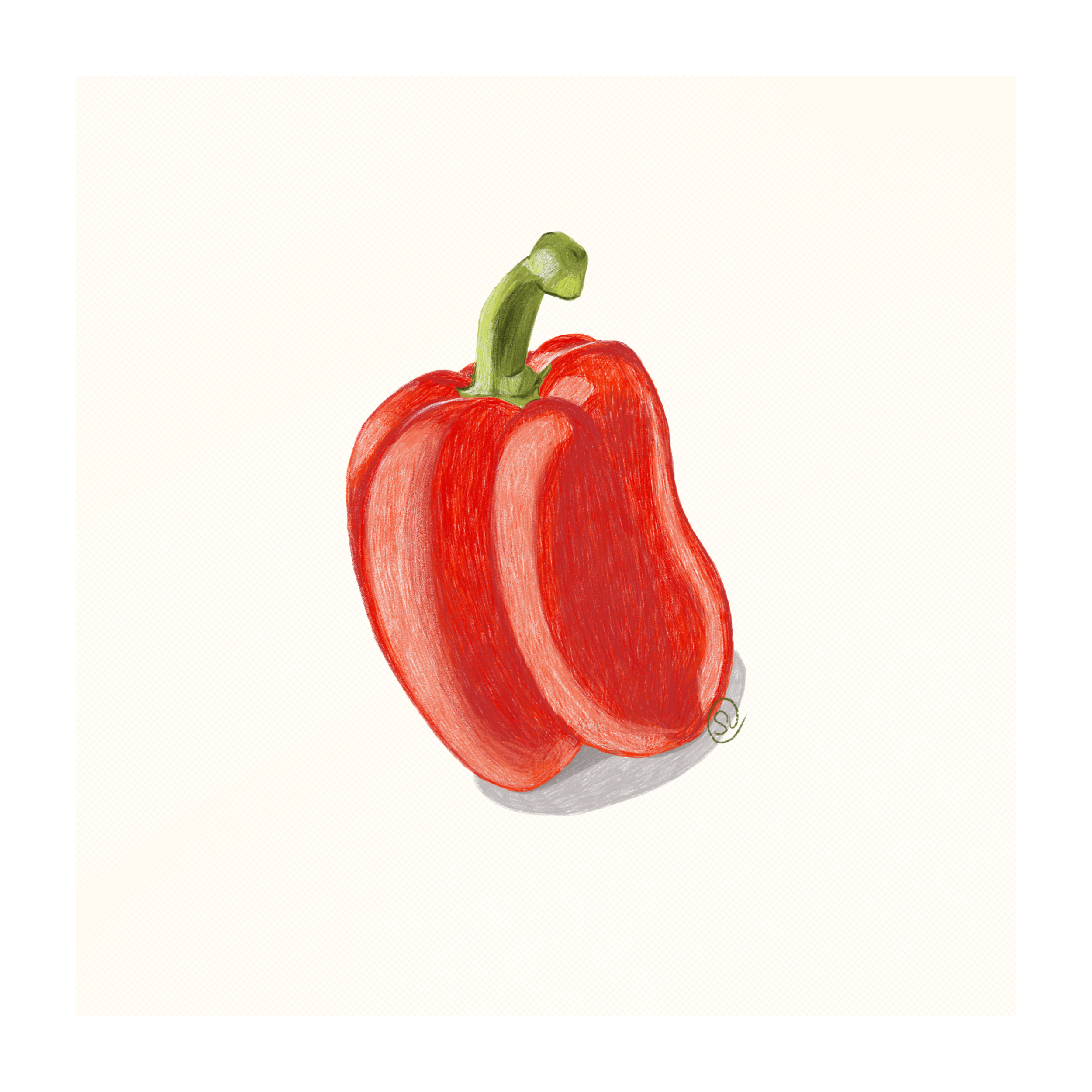 Illustration of a red bell pepper on a light background.