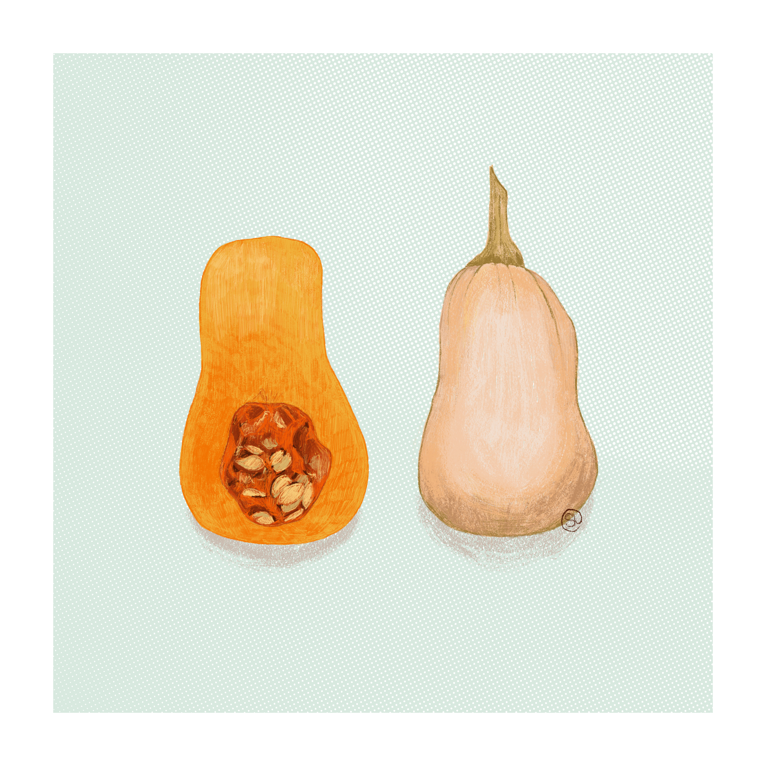 Illustration of a whole butternut squash and a half showing seeds on a light blue background.