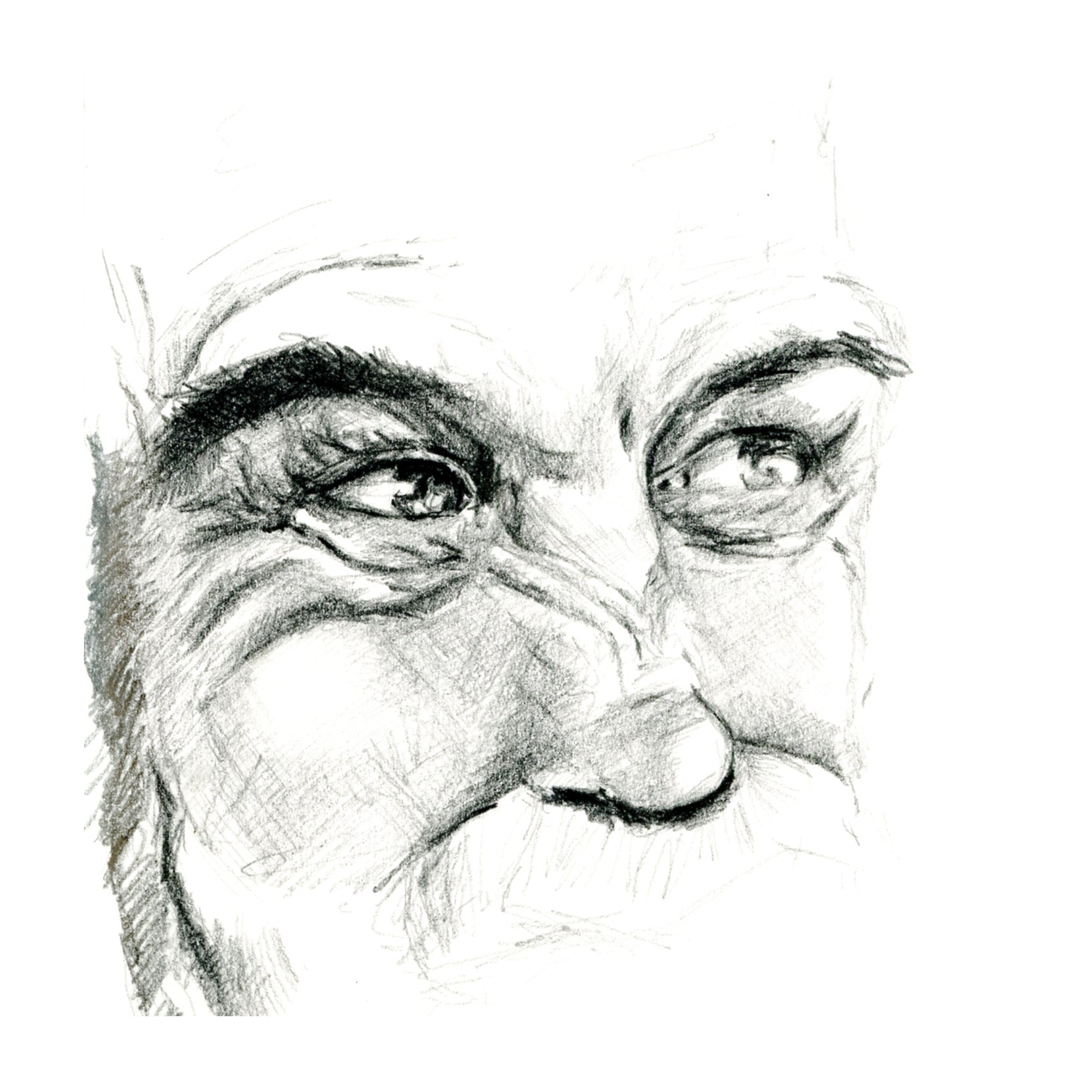 Pencil sketch of an elderly person's eyes and nose.