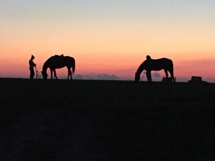 Mothersfield Protected in Avon
