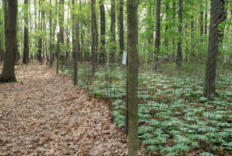 Conservation Biology