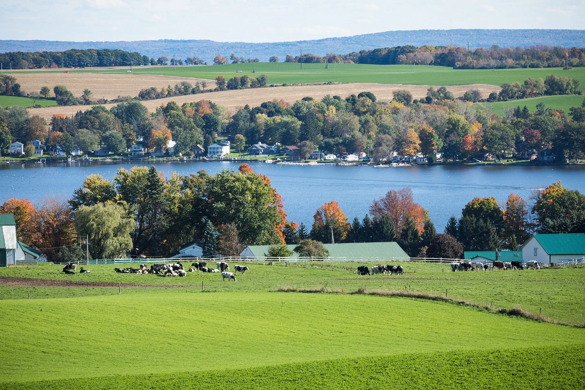 Silver Meadows Farm Protected